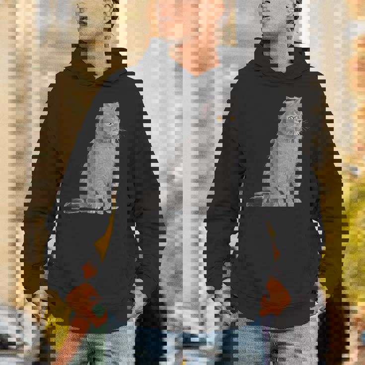 ブリティッシュショートヘアの猫 長袖tシャツ パーカー