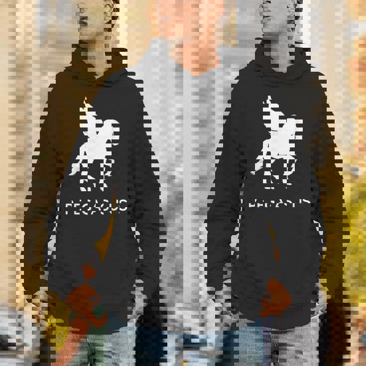 ペガサス コスチューム クラシック ギリシャ伝説 馬 ペガサス コスチューム パーカー