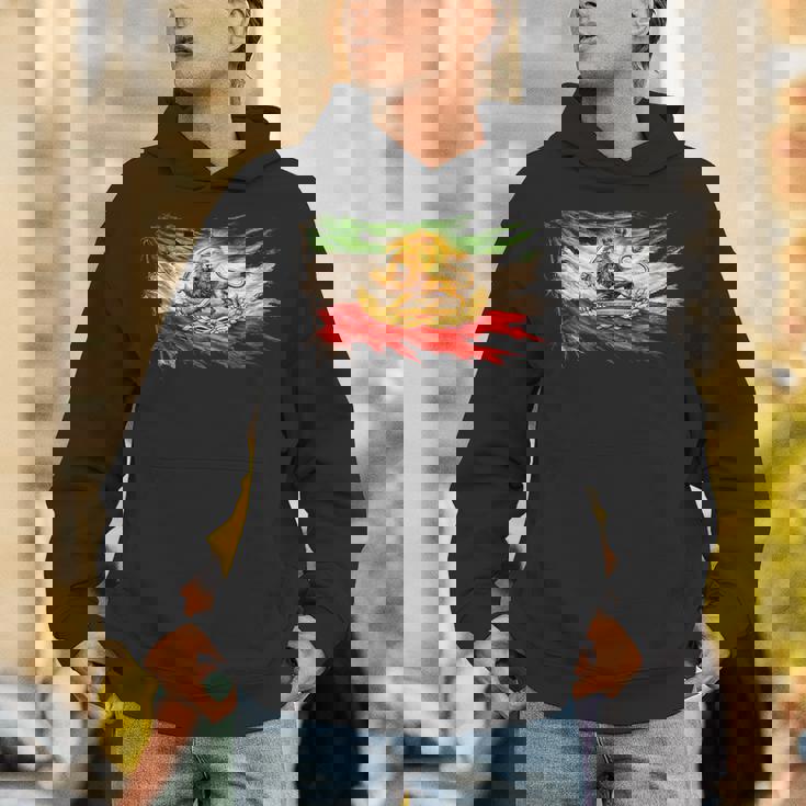 ライオンと太陽のエンブレムが付いたイランの国旗、ヴィンテージペルシャ遺産。 パーカー