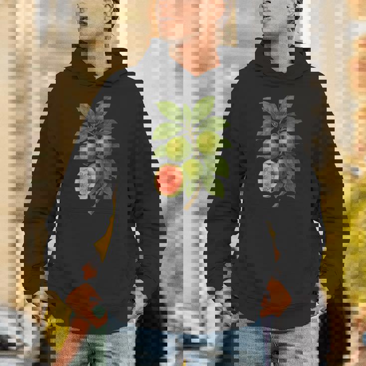 ヴィンテージ ボタニカル グアバ 自然 フルーツ アートプリント パーカー