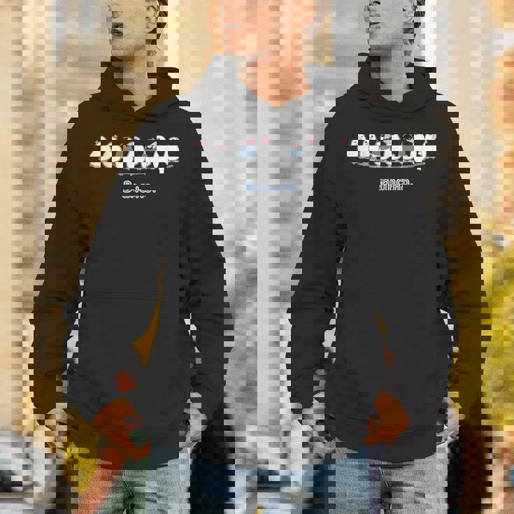 （旧デザイン）シロブンチョウ & サクラブンチョウ さん『なかまたち』白文鳥 桜文鳥【どうぶつフレンズ】動物 パーカー