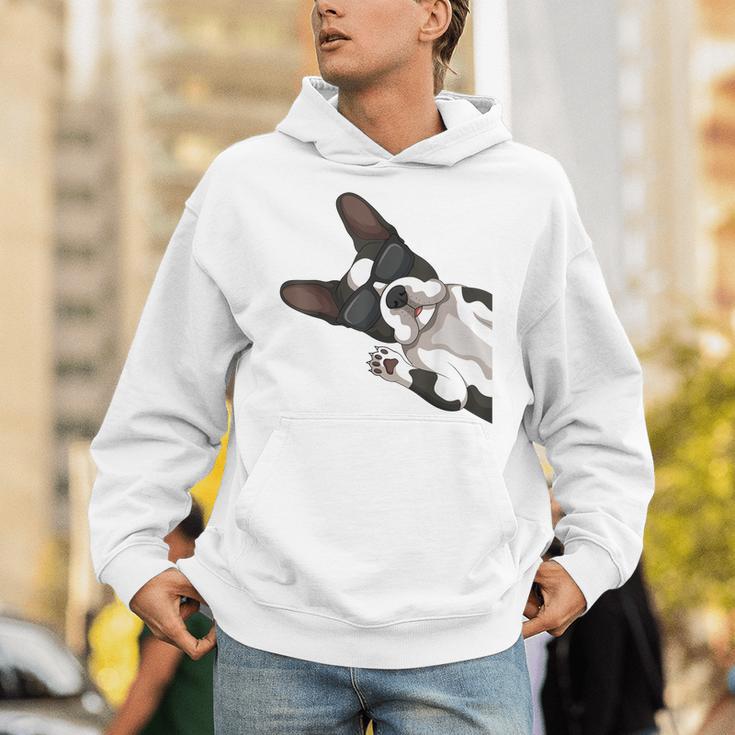 Boston Terrier Bostie Dog Kids Men Unisex Hoodie, funny gift