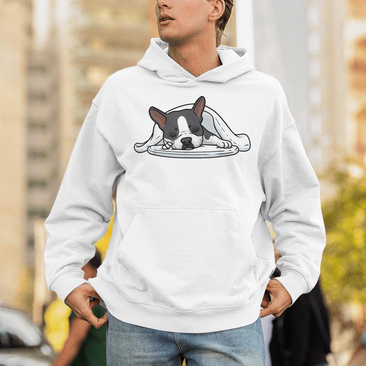 Boston Terrier Dog Official Sleeping Men Women Girls Kids Unisex Hoodie, funny gift
