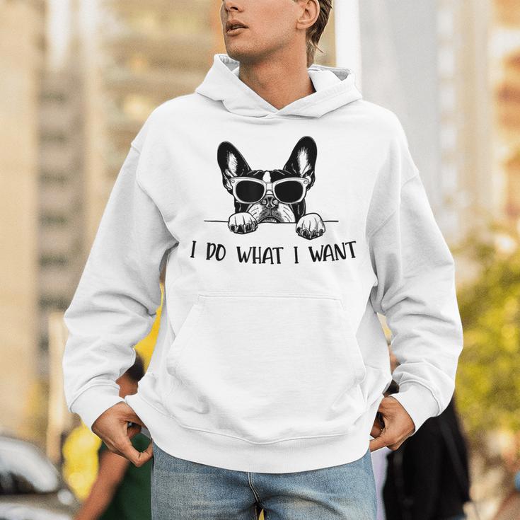 Boston Terrier Dog Owner I Do What I Want Pet Unisex Hoodie, funny gift