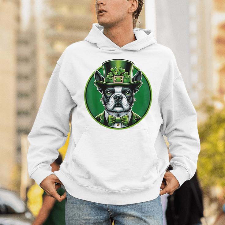 Boston Terrier Dog St Patricks Day Irish Pet Lover Men Women Kids Unisex Hoodie, funny gift
