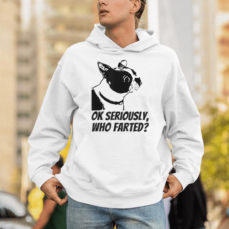 Boston Terrier Shirt Ok Seriously Who Farted Unisex Hoodie, funny gift