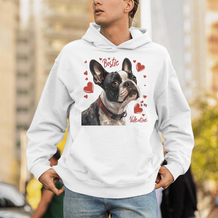 Boston Terrier Is My Valentine Cute Pet Dog Owner Valentine Unisex Hoodie, funny gift
