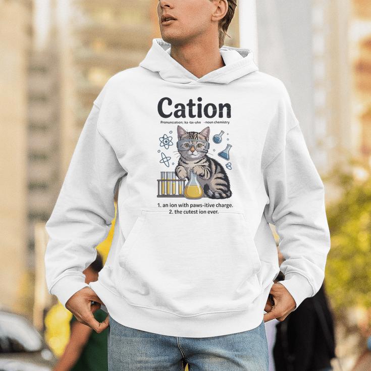 Cation Shirt Cat Science Chemistry Teacher Chemist Pun Unisex Hoodie, Science Teacher Hoodies, funny gift Cation Shirt Cat Science Chemistry Teacher Chemist Pun Unisex Hoodie, Science Teacher Hoodies, funny gift