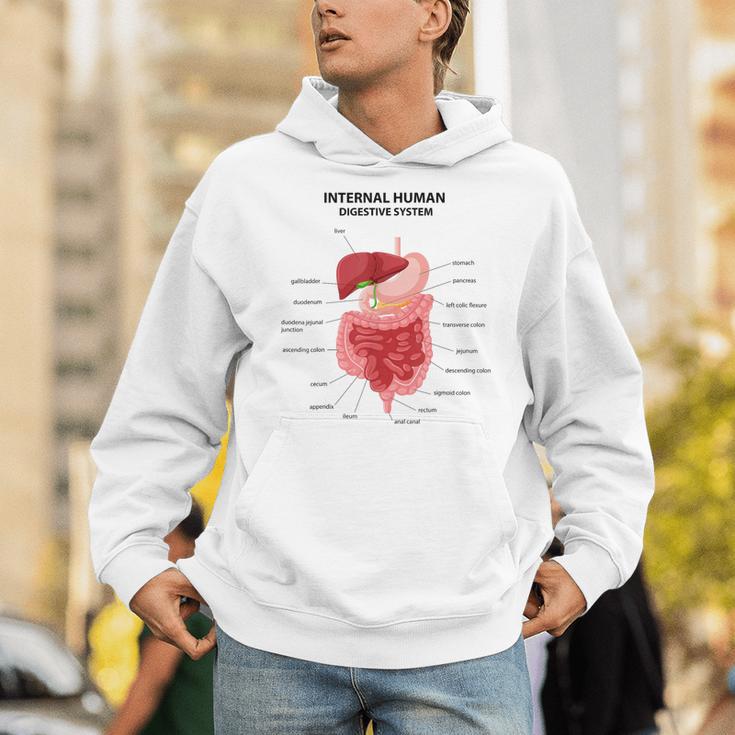 Digestive System Anatomy Anatomical Biology Teacher Men Women Unisex Hoodie, funny gift Digestive System Anatomy Anatomical Biology Teacher Men Women Unisex Hoodie, funny gift