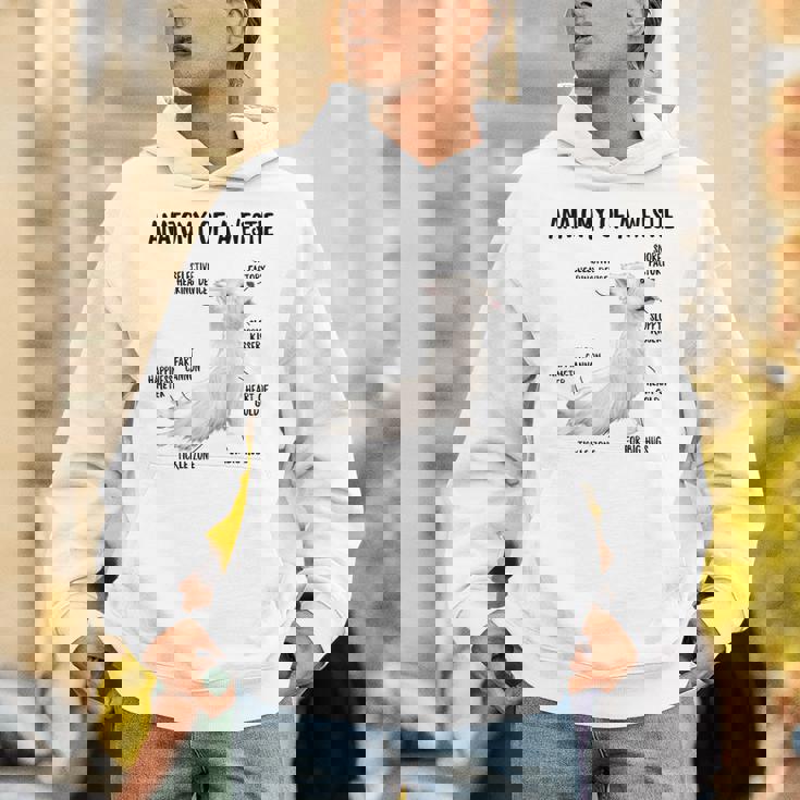 ウエスト・ハイランド・ホワイト・テリア犬の子犬ウェスティの解剖学 パーカー