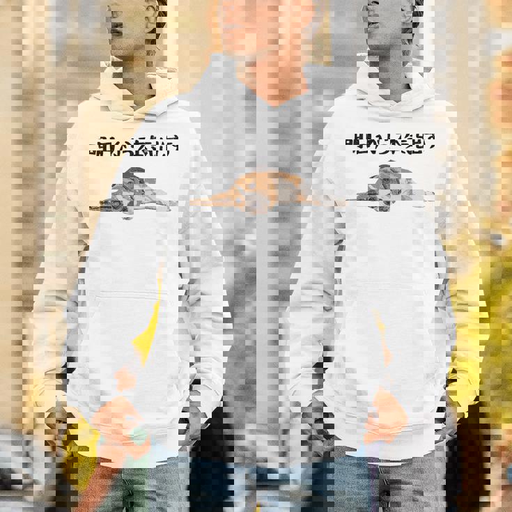 明日から本気出す ・ビーグルス ビーグル犬 面白い ビーグル愛好家に ビーグルののんびりデザイン パーカー