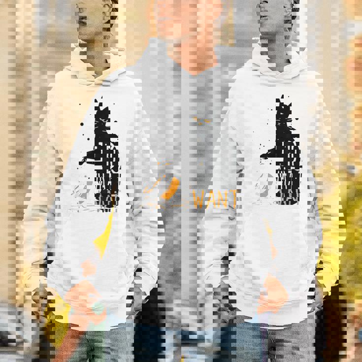 私は何をしたい黒猫カップ面白いグラフィック猫愛好家 パーカー