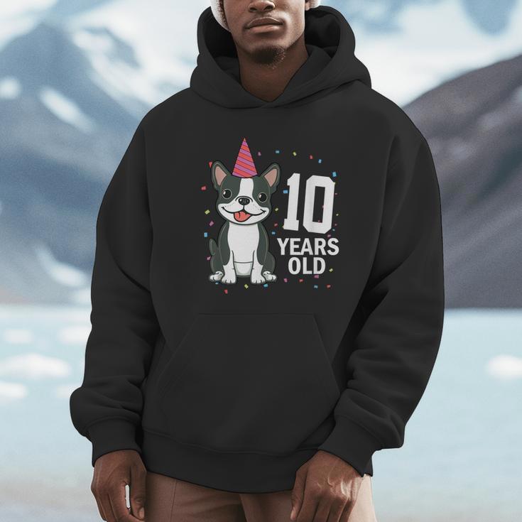 10 Years Old Birthday Boston Terrier Dog Lover 10th Party For Men Women Kids Unisex Hoodie, novelty gifts, funny gifts
