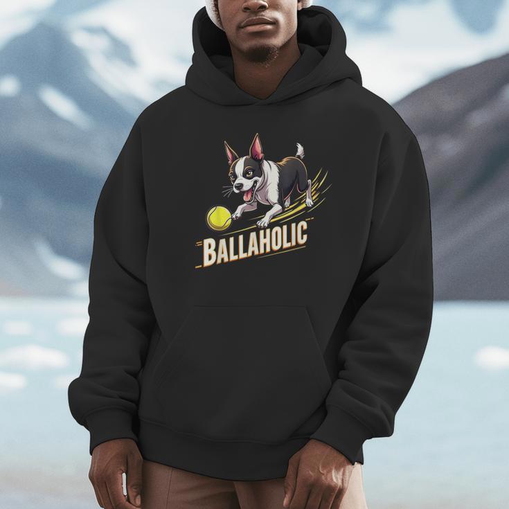 Ballaholic Boston Terrier Dog Chasing Bostie Ball Unisex Hoodie, novelty gifts, funny gifts