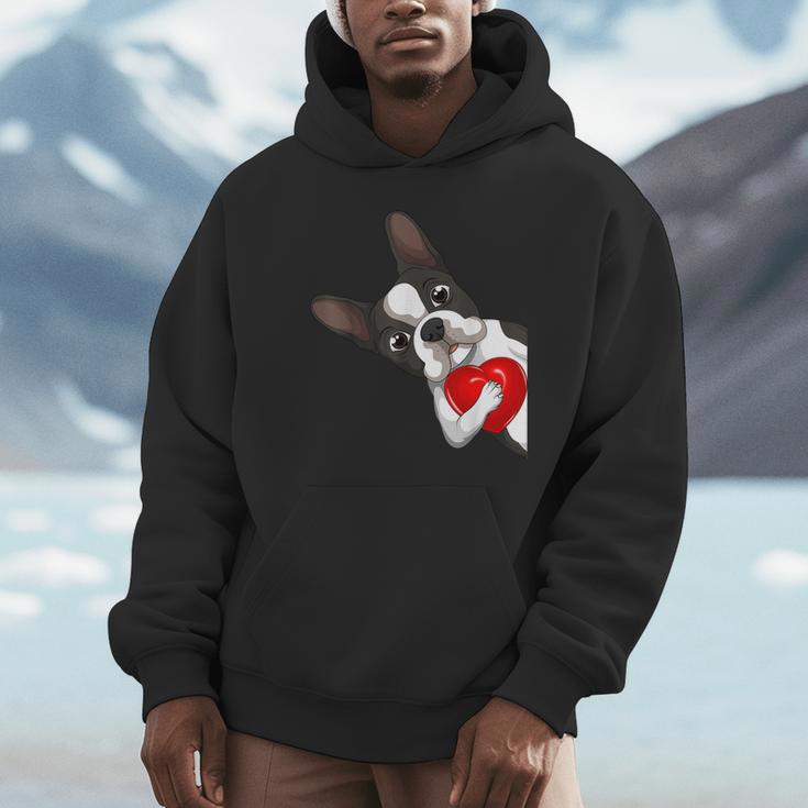 Boston Terrier Bostie Dog Kids Women Girls Unisex Hoodie, novelty gifts, funny gifts