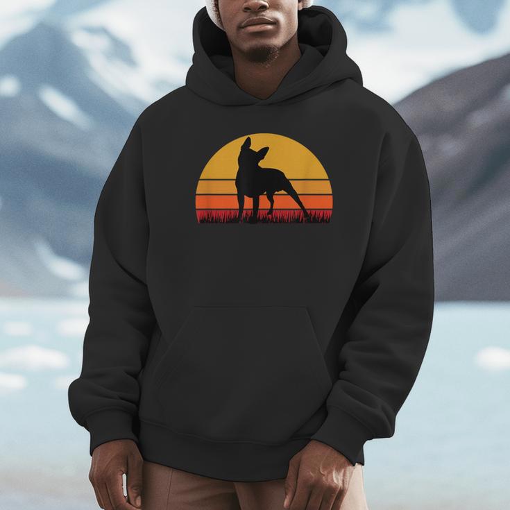 Boston Terrier Bostie Sunset Retro Dog Pet Mom Dad Unisex Hoodie, novelty gifts, funny gifts