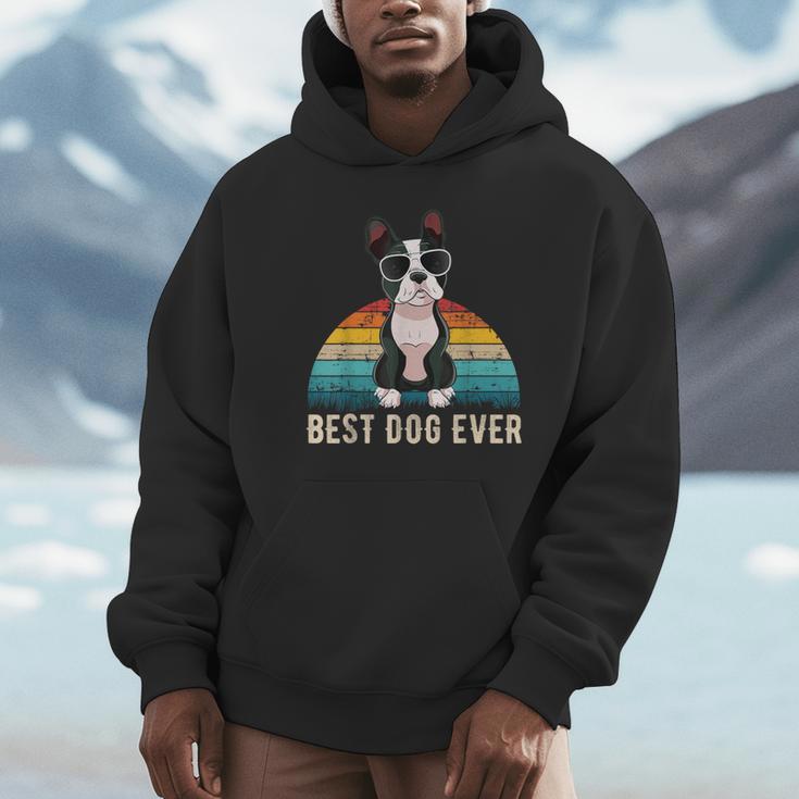 Boston Terrier Boston-Bulldog For Men Women Girls Kids Unisex Hoodie, novelty gifts, funny gifts