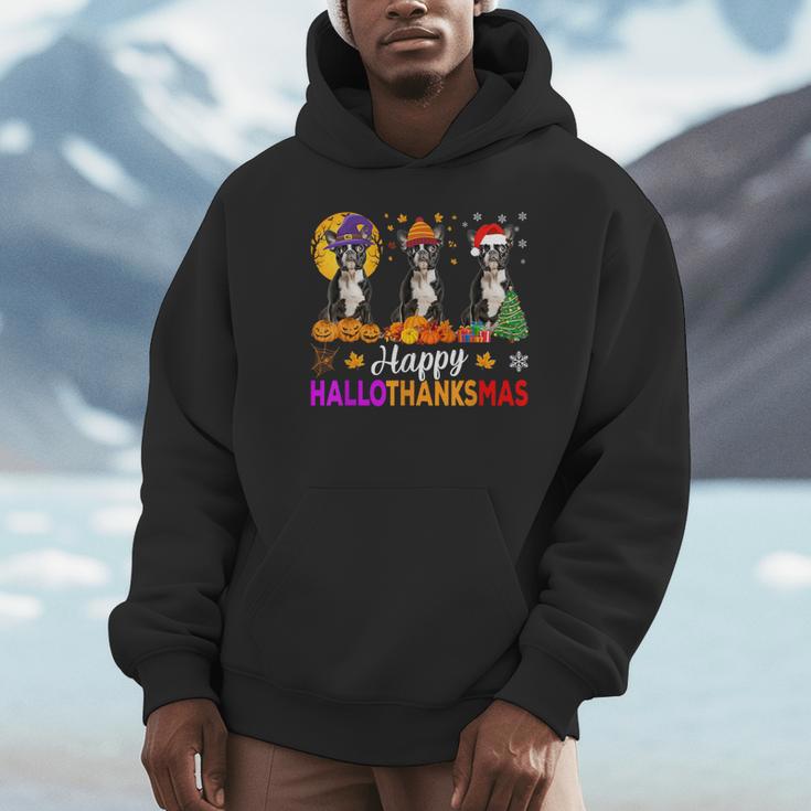Boston Terrier Dog Halloween Christmas Hallothanksmas Men Women Kids Unisex Hoodie, novelty gifts, funny gifts