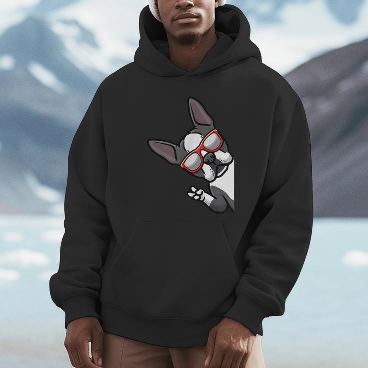 Boston Terrier Dog From Side Boston Bull Unisex Hoodie, novelty gifts, funny gifts