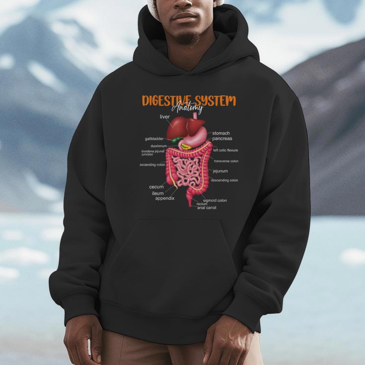 Digestive System Anatomy Anatomical Biology Teacher Unisex Hoodie, novelty gifts, funny gifts Digestive System Anatomy Anatomical Biology Teacher Unisex Hoodie, novelty gifts, funny gifts