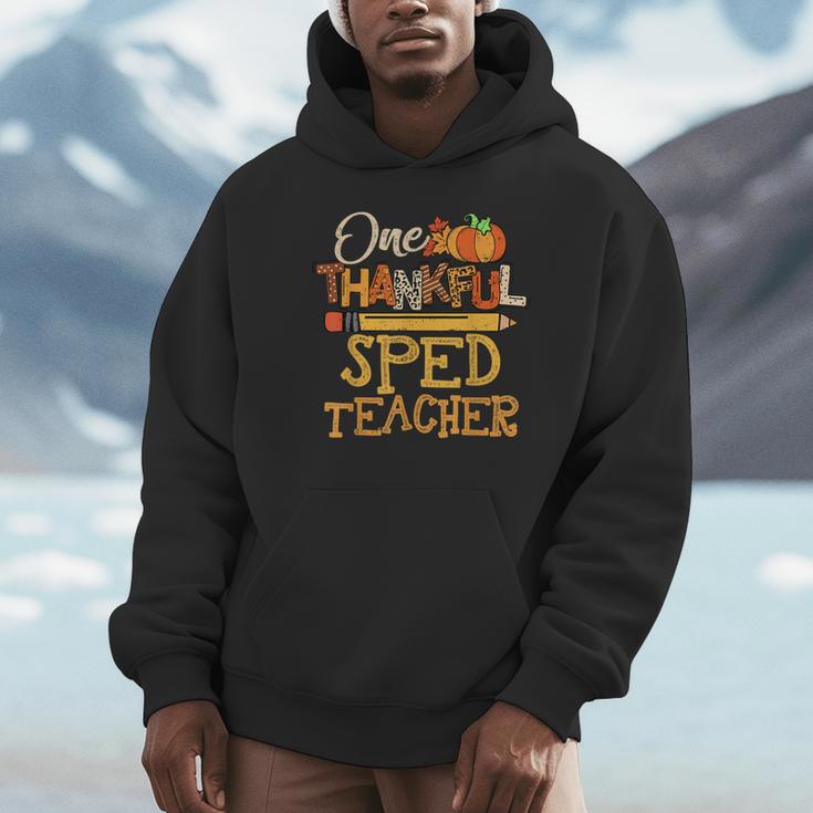 One Thankful Sped Teacher Cute Thanksgiving Women Unisex Hoodie, novelty gifts, funny gifts