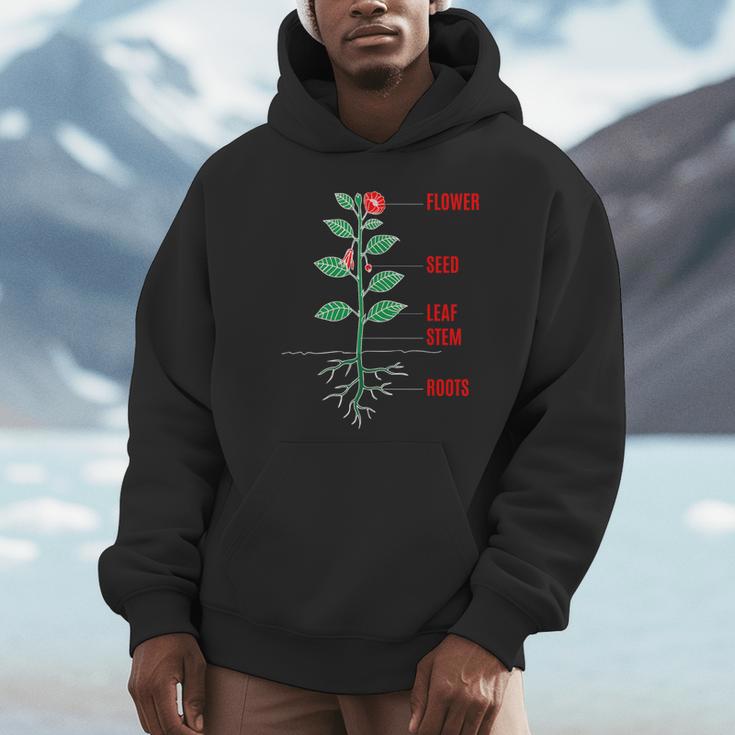 Parts Of a Plant Science For Teachers Kids And Students Unisex Hoodie, novelty gifts, funny gifts