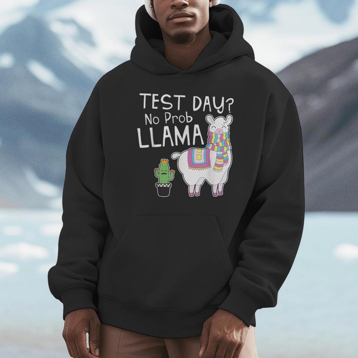 Teachers Testing Day Test Day No Prob Llama Teacher Unisex Hoodie, novelty gifts, funny gifts Teachers Testing Day Test Day No Prob Llama Teacher Unisex Hoodie, novelty gifts, funny gifts