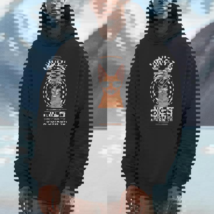 世界で最もクールなアビシニアンパパ パーカー