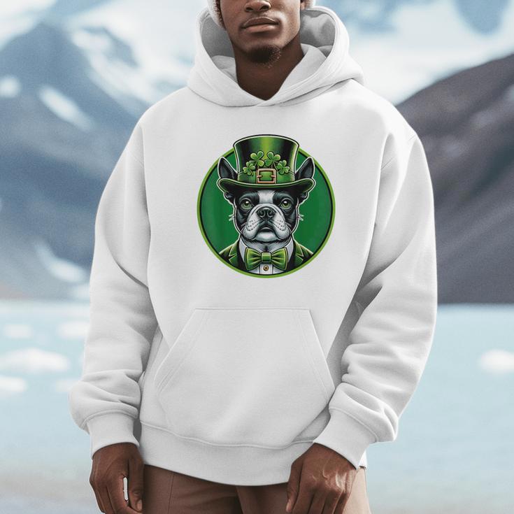Boston Terrier Dog St Patricks Day Irish Pet Lover Men Women Kids Unisex Hoodie, novelty gifts, funny gifts