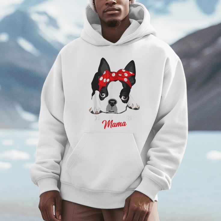 Boston Terrier Mum Dog Woman Idea Unisex Hoodie, novelty gifts, funny gifts
