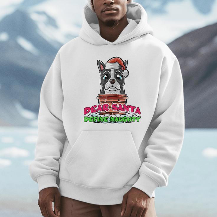 Boston Terrier Santa Claus Christmas Dog Unisex Hoodie, novelty gifts, funny gifts