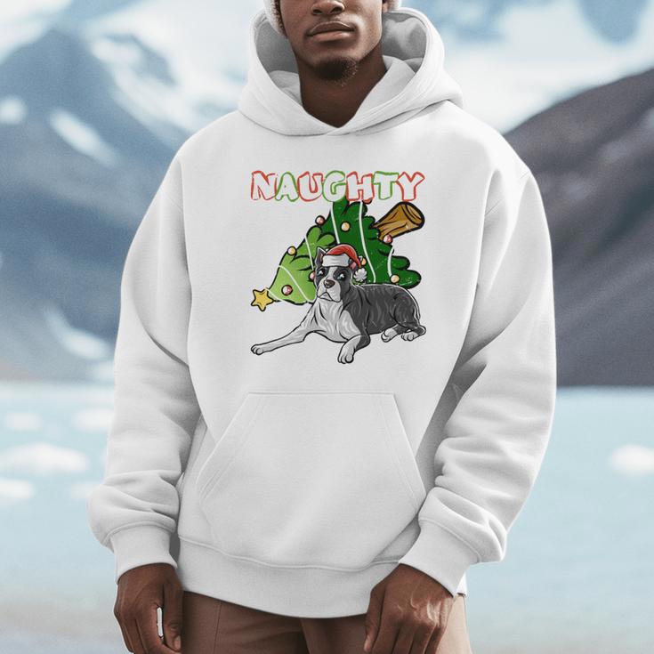 Boston Terrier Santa Claus Hat Merry Christmas Dog X-Mas Unisex Hoodie, novelty gifts, funny gifts