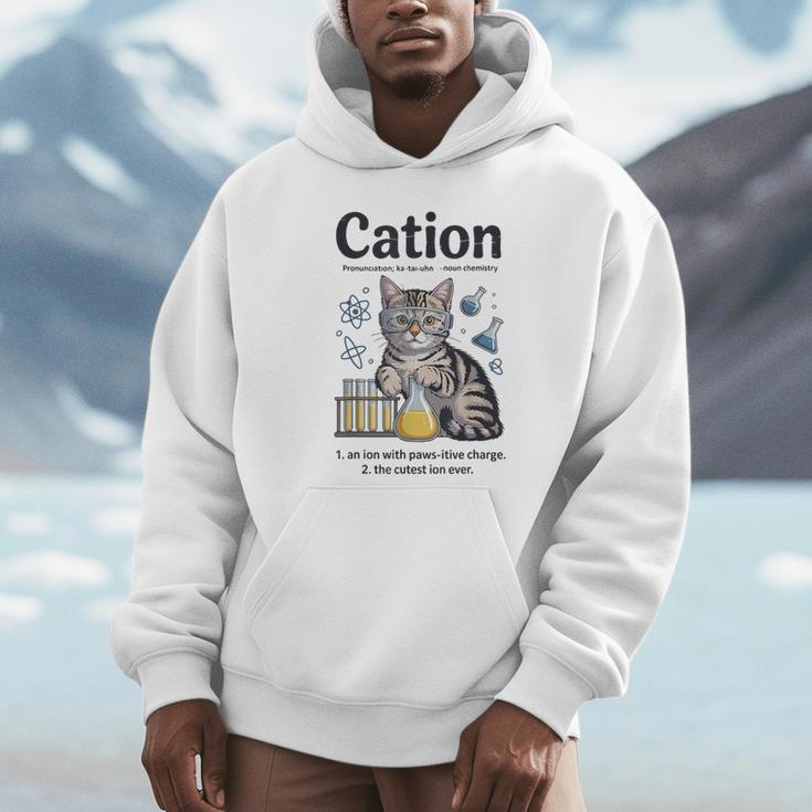 Cation Shirt Cat Science Chemistry Teacher Chemist Pun Unisex Hoodie, novelty gifts, funny gifts Cation Shirt Cat Science Chemistry Teacher Chemist Pun Unisex Hoodie, novelty gifts, funny gifts