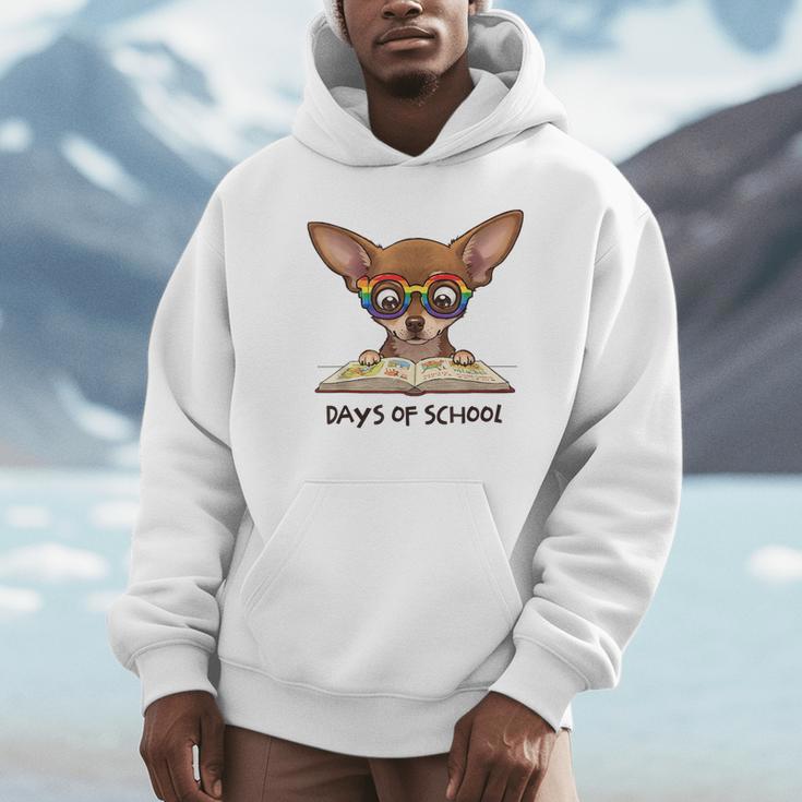 Chihuahua 100 Days Of School Rainbow Glasses Teacher Unisex Hoodie, novelty gifts, funny gifts Chihuahua 100 Days Of School Rainbow Glasses Teacher Unisex Hoodie, novelty gifts, funny gifts