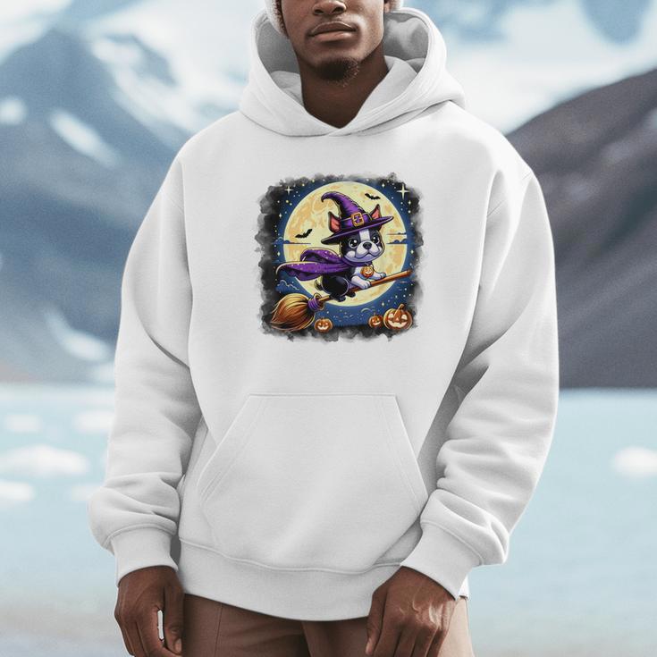 Cute Boston Terrier Halloween Costume Dog Lover Women Girls Unisex Hoodie, novelty gifts, funny gifts