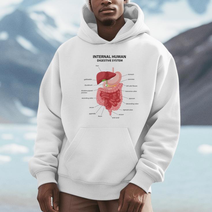Digestive System Anatomy Anatomical Biology Teacher Men Women Unisex Hoodie, novelty gifts, funny gifts Digestive System Anatomy Anatomical Biology Teacher Men Women Unisex Hoodie, novelty gifts, funny gifts