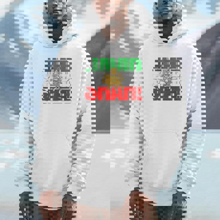 Javidhah イラン国旗 ペルシャパフラヴィー ライオンと太陽 パーカー