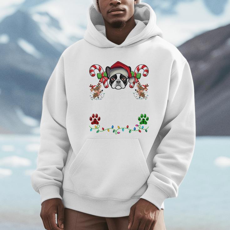 Most Likely Decorate Her Boston Terrier Dog Ugly Christmas Unisex Hoodie, novelty gifts, funny gifts