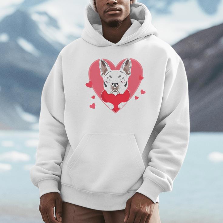 Valentine's Day Boston Terrier Heart Unisex Hoodie, novelty gifts, funny gifts