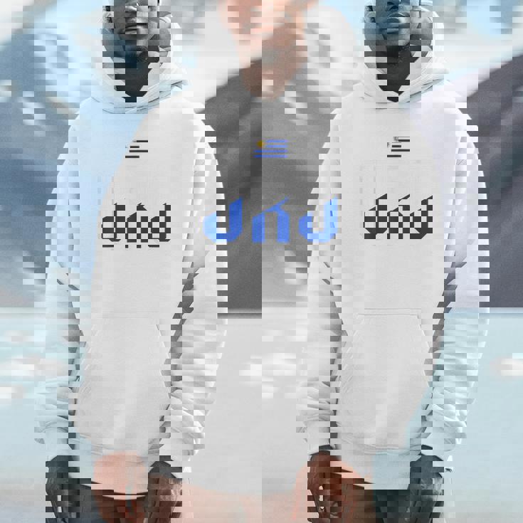 ウルグアイプライド Uru ウルグアイ国旗 ヴィンテージ パーカー