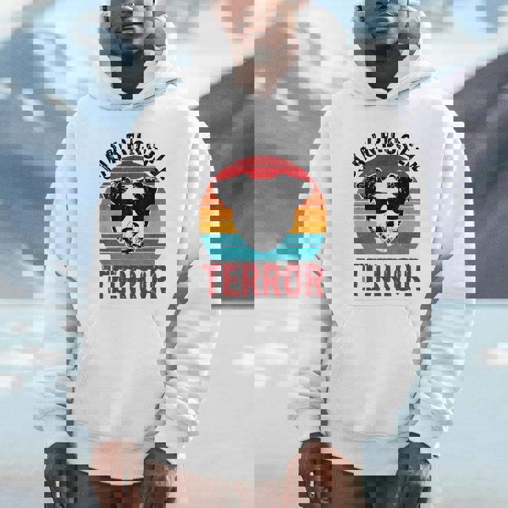 ジャック・ラッセル・テラー・テリア ファニー パーソンズ 犬 パーカー