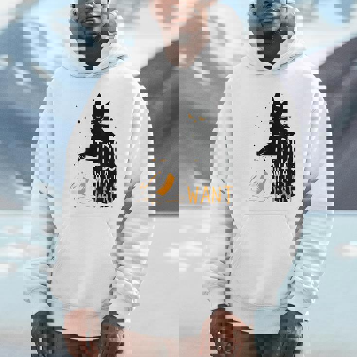 私は何をしたい黒猫カップ面白いグラフィック猫愛好家 パーカー