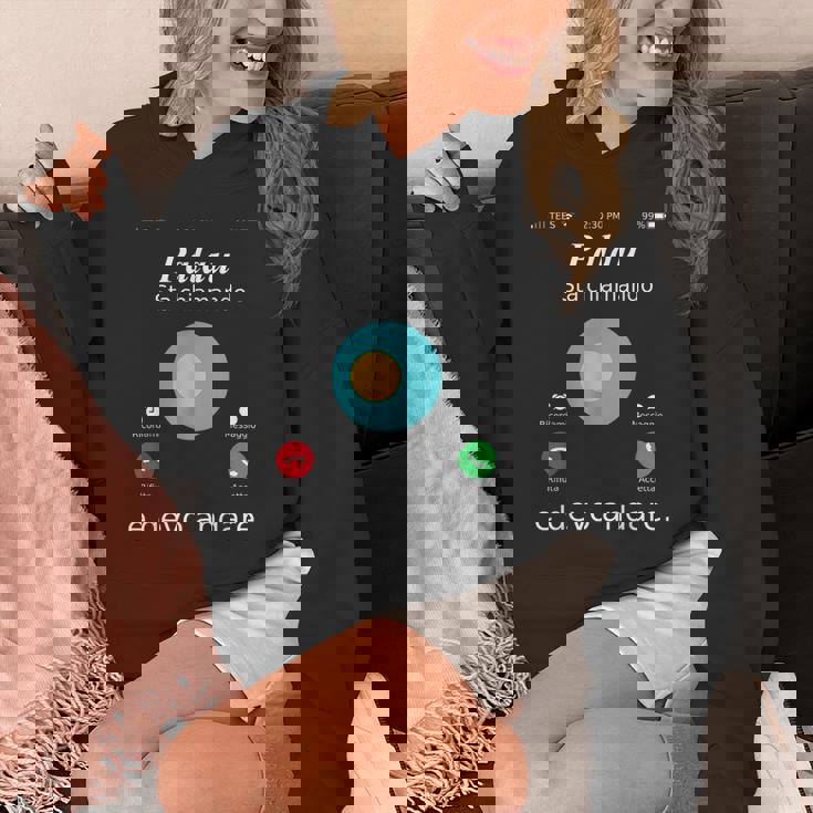 Palau Is Calling And Gotta Go パラオシャツ パーカー