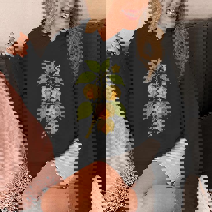 ヴィンテージ ボタニカル サイサリス 自然 フルーツ アートプリント パーカー