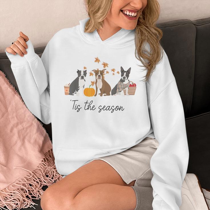 Boston Terrier Fall Pumpkin Tis The Season Autumn Women Unisex Hoodie, funny design