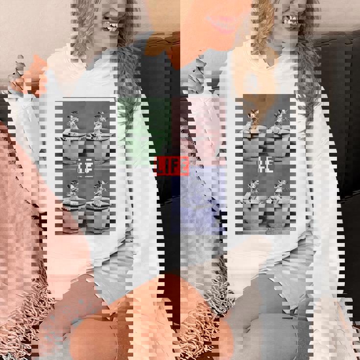 Life Picture Collection 猫（1） パーカー