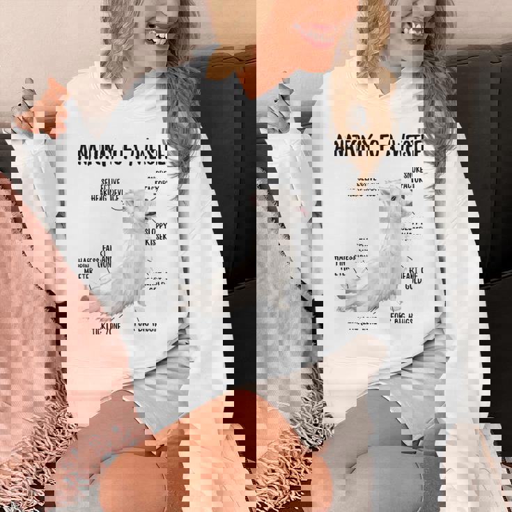 ウエスト・ハイランド・ホワイト・テリア犬の子犬ウェスティの解剖学 パーカー