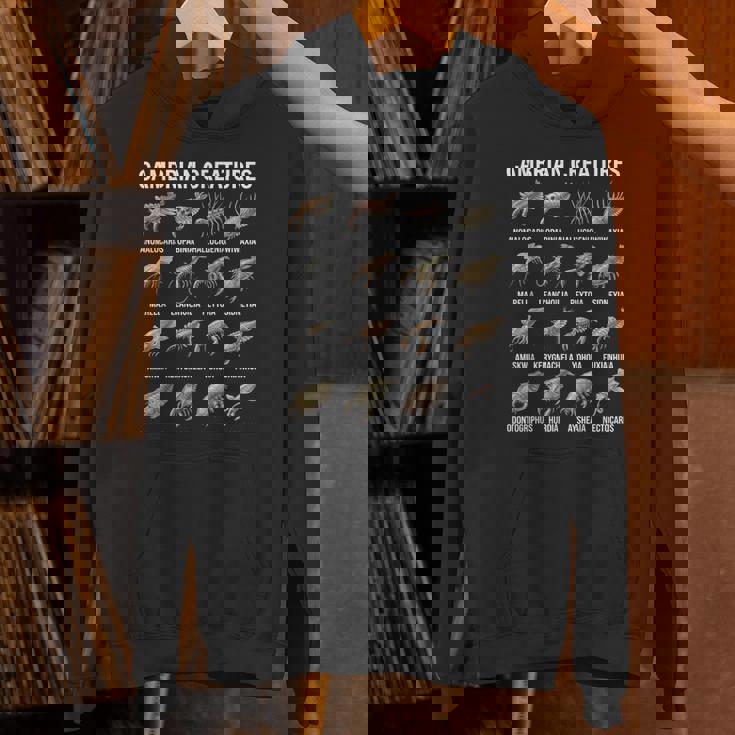 カンブリア紀の生き物チャート先史時代の生活古生物学 パーカー