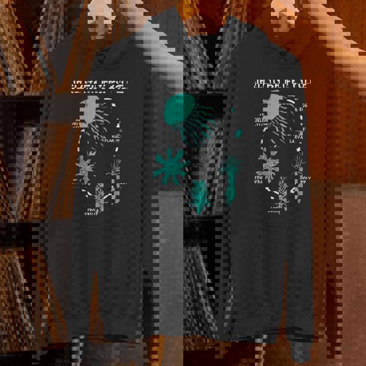 クラゲのライフサイクル パーカー