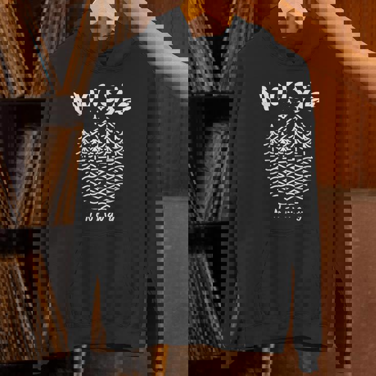 ノルウェー 湖 ノルウェー パーカー